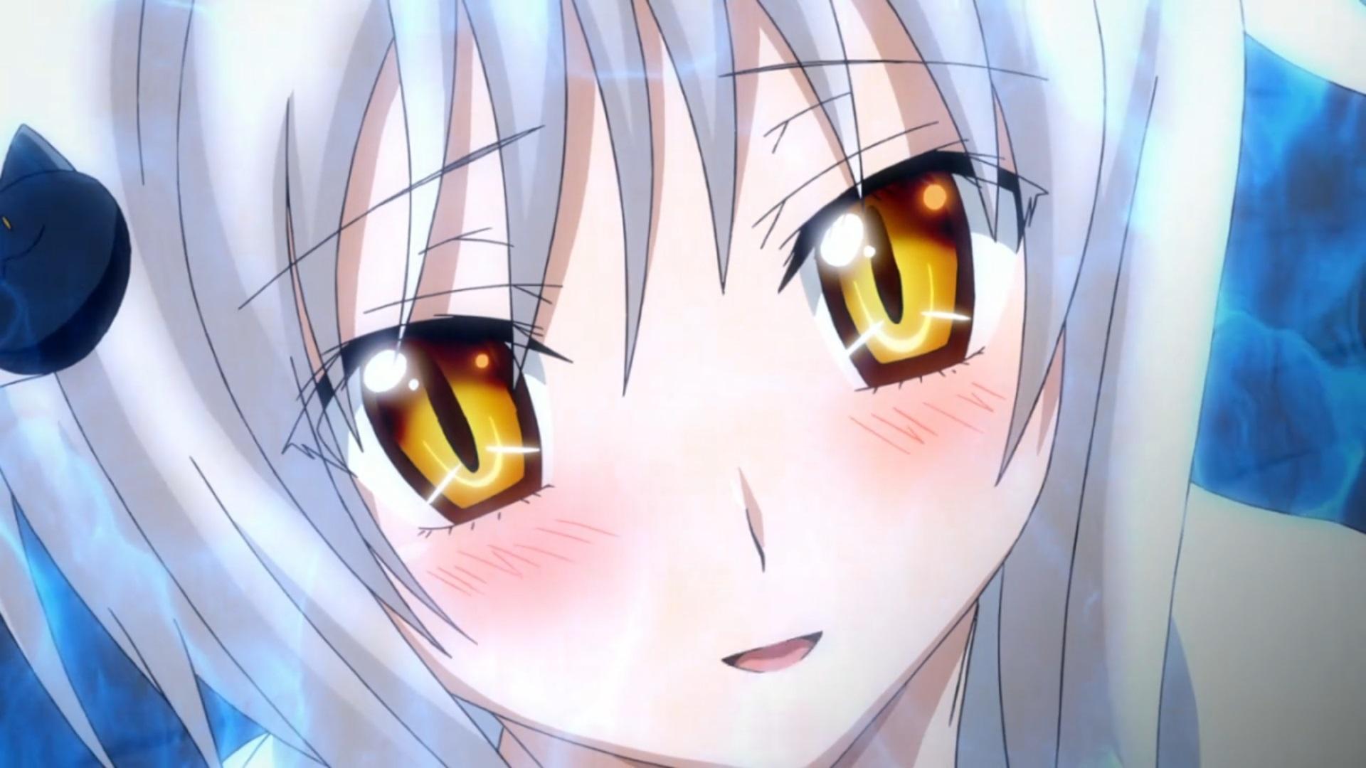 Episod Special(OVA)